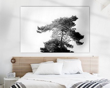 Arbre en noir et blanc sur Steven Dijkshoorn