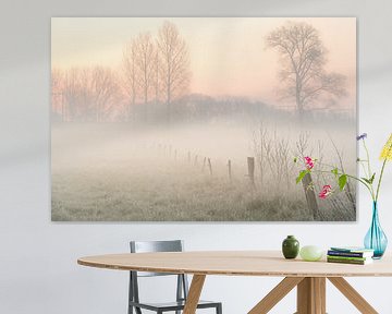 dageraad mist over het grasland van Marcel Derweduwen