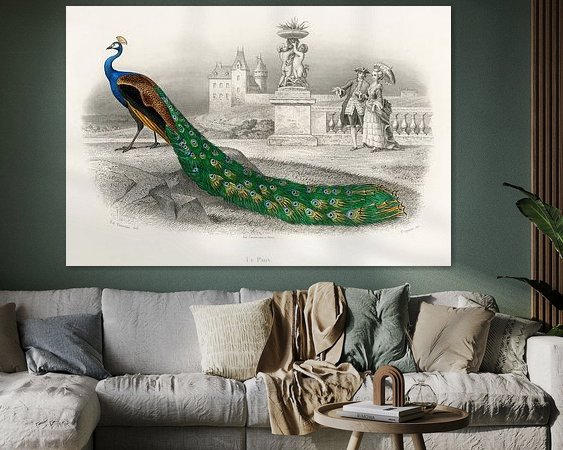 Aperçu de la chambre