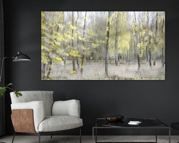 Spring impression with birches by Teuni's Dreams of Reality