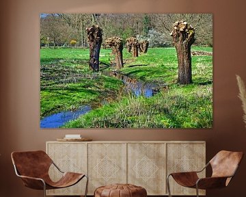 Beschermd landschapsgebied