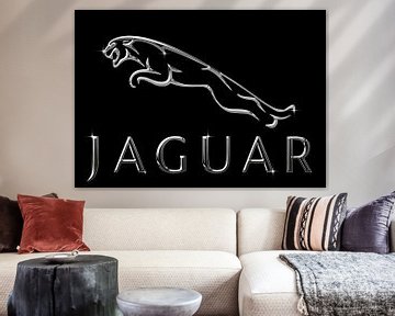 Jaguar chroom van Bert Hooijer