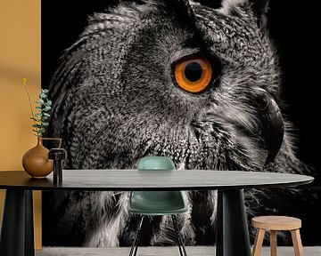 Owl: portrait eagle owl in black and white by By Marjolein Design