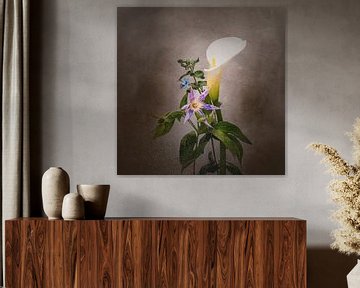 Grazile Blumen - Calla, Clematis, Stern von Jericho | Vintage-Stil von Melanie Viola