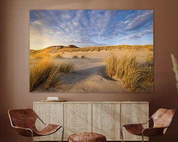 Warm evening light falls on the dune landscape on the coast at Westerschouwen in Schouwen-Duiveland  by Bas Meelker