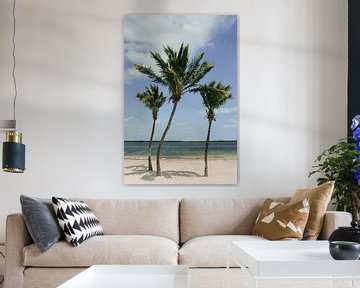 Palmbomen | Key West| Florida | Reisfotografie | Strand van Mirjam Broekhof