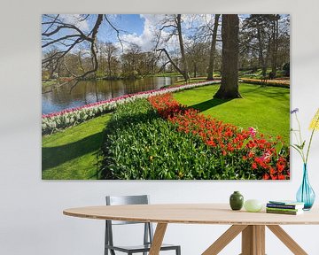 Beeld van bloeiende tulpen in de lente