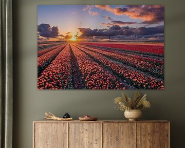 Coucher de soleil sur les champs de tulipes à Flevoland sur Fotografie Ronald