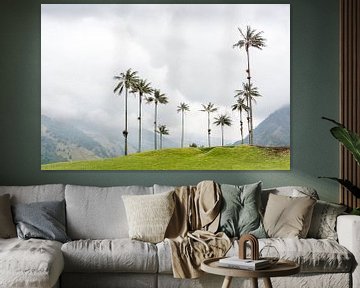 Palm trees in the Cocora Valley by Elyse Madlener