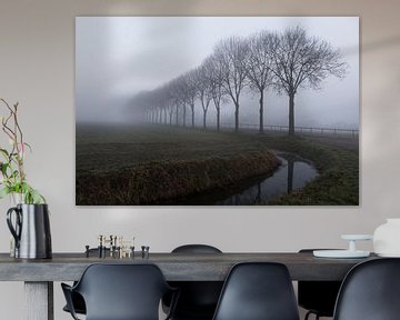 Beuningen 28-02-2021. Landscape in the outskirts of Beuningen in Maas and Waal. With ditch and row o by Ger Loeffen