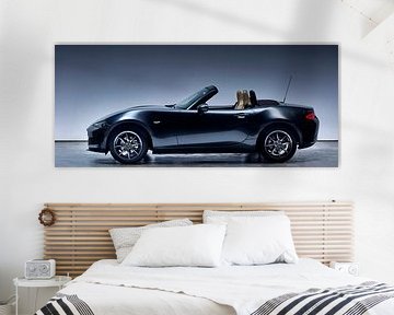 Photographie en studio d'un MX 5 sur Paul Delaet