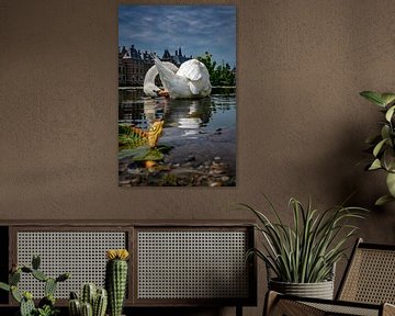 Cygne dans le vijverhof à La Haye sur Chihong