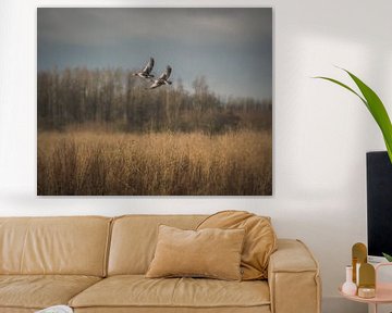 Waterfowl hunting by Jan Hermsen