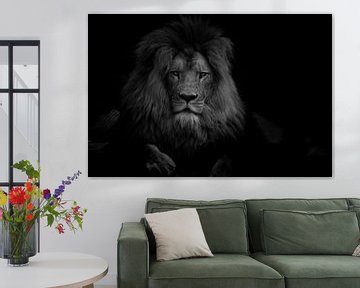 Portrait of majestic lion - Black and white by Jesper Stegers