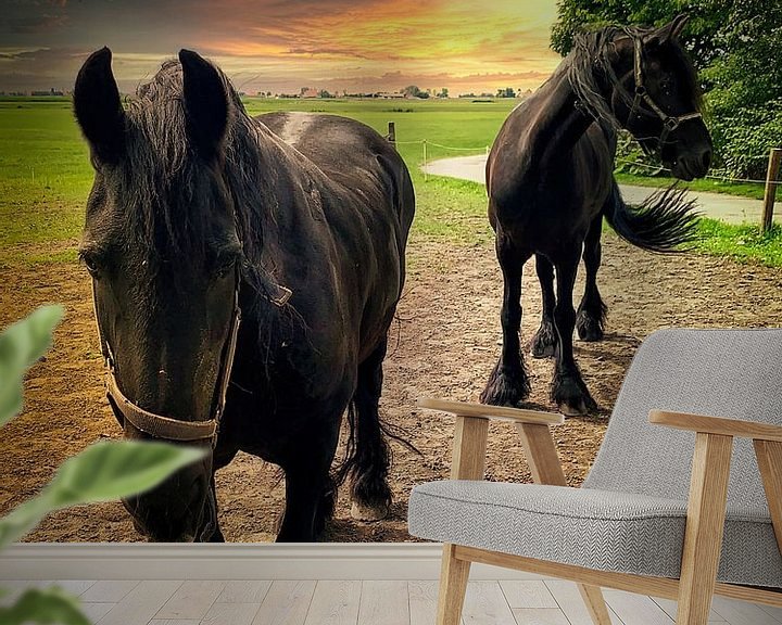 Sfeerimpressie behang: Twee Friese paarden van Digital Art Nederland