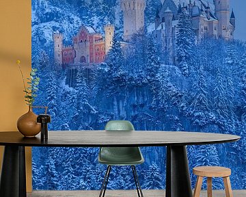 Kasteel Neuschwanstein - Füssen