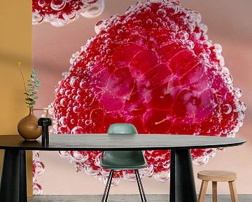 Himbeere mit Blasen von Dafne Vos