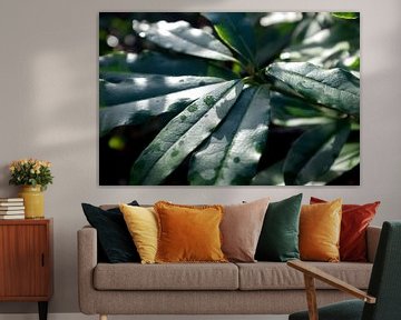 botanisches Bild einer grünen Pflanze, Landhausstil von Karijn | Fine art Natuur en Reis Fotografie
