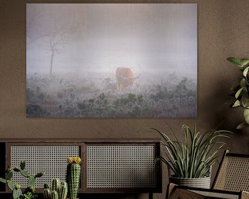 Schotse Hooglander in de mist van Koen Boelrijk Photography