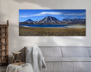 Andes panorama van Antwan Janssen