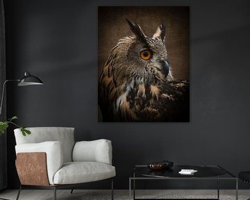 Uil portret van een oehoe in bruin