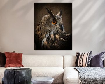 Uil portret van een oehoe in bruin