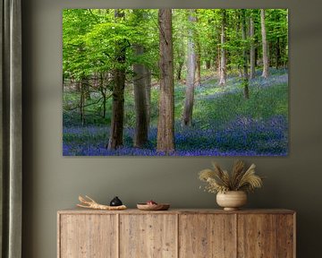 Blauer Wald - Buche mit Glockenblumen von Peschen Photography