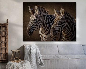 Zebra: portret 2 zebra's in bruin van Marjolein van Middelkoop