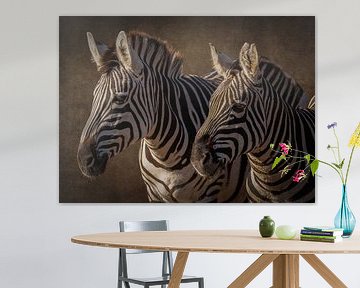 Zebra: portrait 2 zebras in brown by Marjolein van Middelkoop