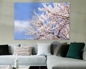 Arbre fleuri avec des fleurs et un ciel bleu aux Pays-Bas sur Evelien Oerlemans