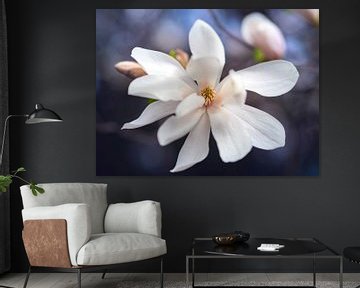 Magnolia bloesem close-up in de lente van Evelien Oerlemans