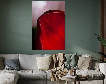 Rood tulpenblad van Anita van Hengel