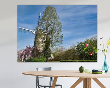 De Wilhelmus Hubertus molen  in de lente van Jolanda de Jong-Jansen