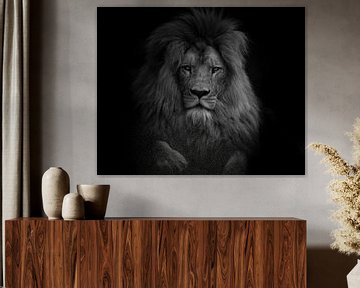 Portret van leeuw - Zwart/wit van Jesper Stegers