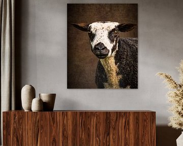 Schaap: portret Bonte Schaap zwart-wit gevlekt van Marjolein van Middelkoop