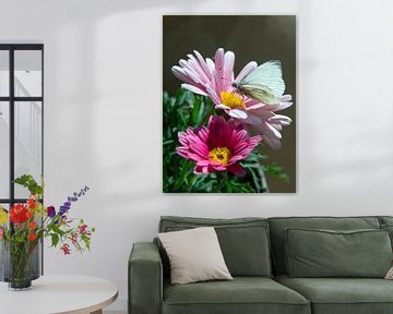 Weißer Schmetterling auf rosa Blume von Arthur Hooijer