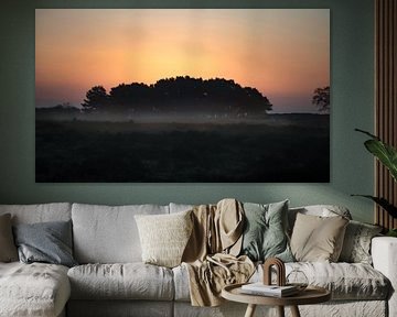 blue hour, Table Mountain Heath