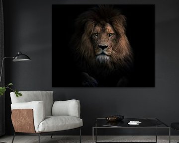 Portrait of a lion by Jesper Stegers