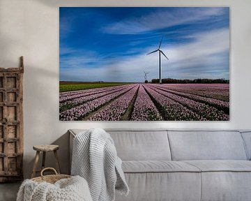 Tulips by Koos de Vries