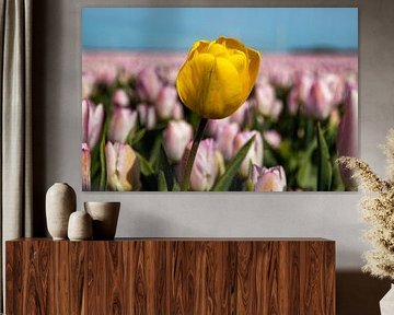 Tulips by Koos de Vries