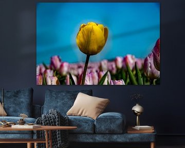 Tulpen von Koos de Vries