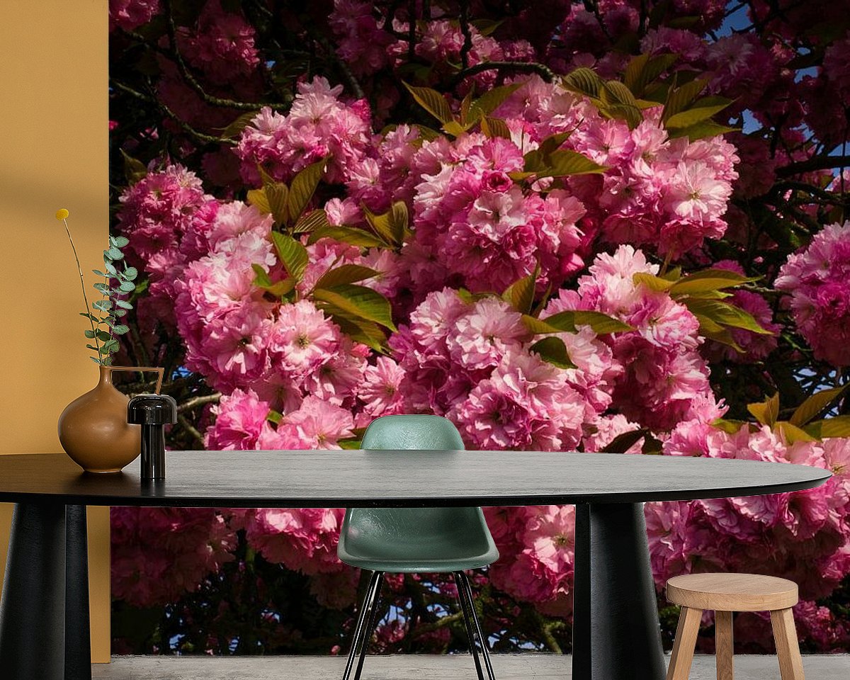Raumvorschau