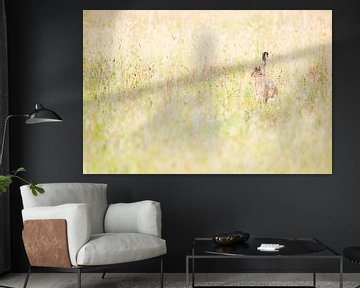 Hare on the Veluwe by Danny Slijfer Natuurfotografie