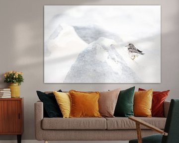 Paarse strandloper in storm van Danny Slijfer Natuurfotografie