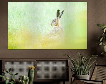 Hare on the Veluwe by Danny Slijfer Natuurfotografie