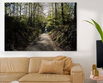 footpath