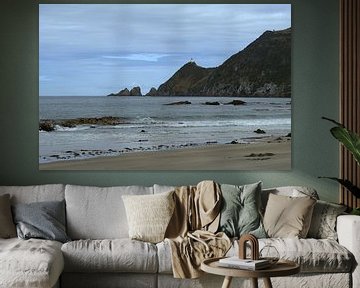 Nugget point - a view from the beach van Jeroen van Deel