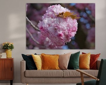 Une boule de fleurs roses de printemps sur Jolanda de Jong-Jansen