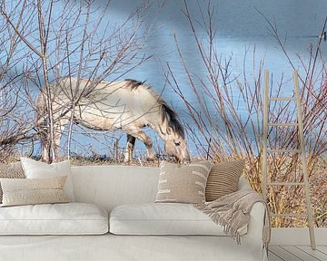 Konik horse near Nijmegen by Merijn Loch