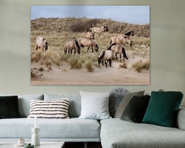 Wild horses in the dunes by Janny Beimers